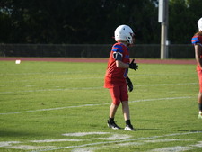 Enlarge photo 813