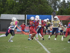 Enlarge photo 51