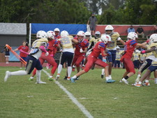 Enlarge photo 53