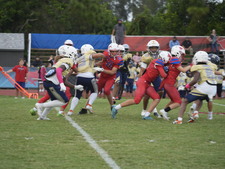 Enlarge photo 54