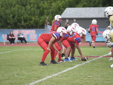 Enlarge photo 61