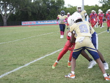 Enlarge photo 78