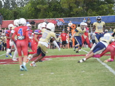 Enlarge photo 173