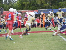Enlarge photo 174