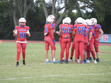 Enlarge photo 223