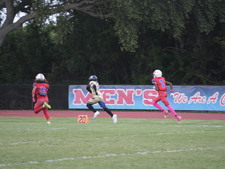 Enlarge photo 273