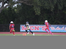 Enlarge photo 284