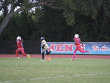 Enlarge photo 275