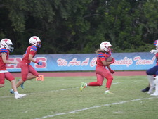 Enlarge photo 305