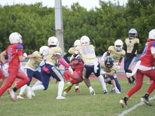 Enlarge photo 309