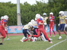 Enlarge photo 315