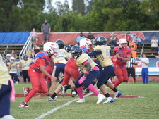Enlarge photo 362