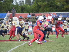 Enlarge photo 366
