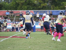 Enlarge photo 369