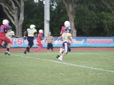 Enlarge photo 417