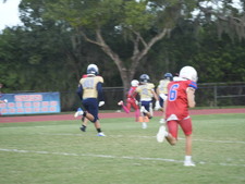 Enlarge photo 421