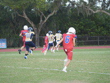 Enlarge photo 422