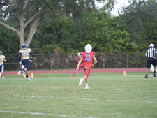 Enlarge photo 425