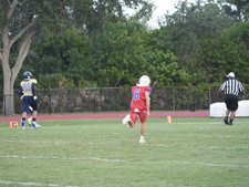 Enlarge photo 428