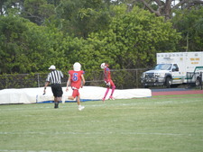 Enlarge photo 435
