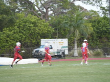 Enlarge photo 441