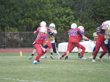 Enlarge photo 482