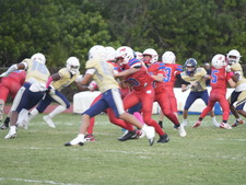 Enlarge photo 487