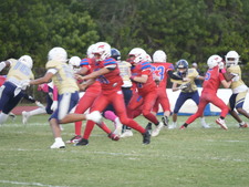 Enlarge photo 489