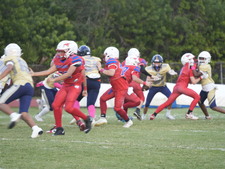 Enlarge photo 490