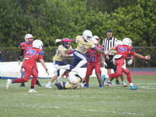 Enlarge photo 497