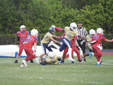 Enlarge photo 498