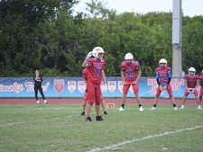 Enlarge photo 513
