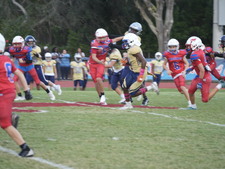 Enlarge photo 526