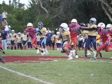 Enlarge photo 528