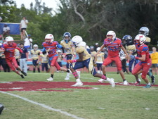 Enlarge photo 530