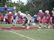 Enlarge photo 531