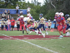 Enlarge photo 532