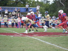 Enlarge photo 533