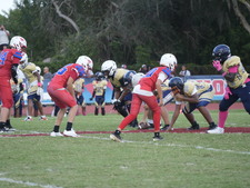 Enlarge photo 534