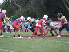 Enlarge photo 535