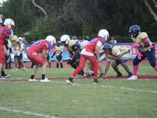 Enlarge photo 536