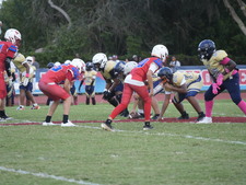 Enlarge photo 537