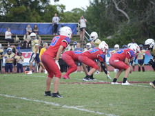 Enlarge photo 538