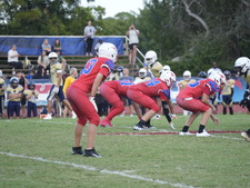 Enlarge photo 539