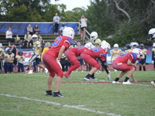 Enlarge photo 542