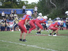 Enlarge photo 541
