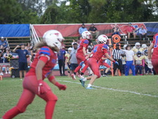 Enlarge photo 546