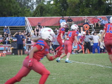 Enlarge photo 545