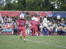 Enlarge photo 549