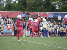 Enlarge photo 551